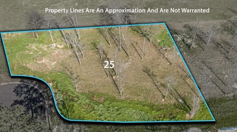 Lot 25 Garrett Street Rainsville AL 35986
