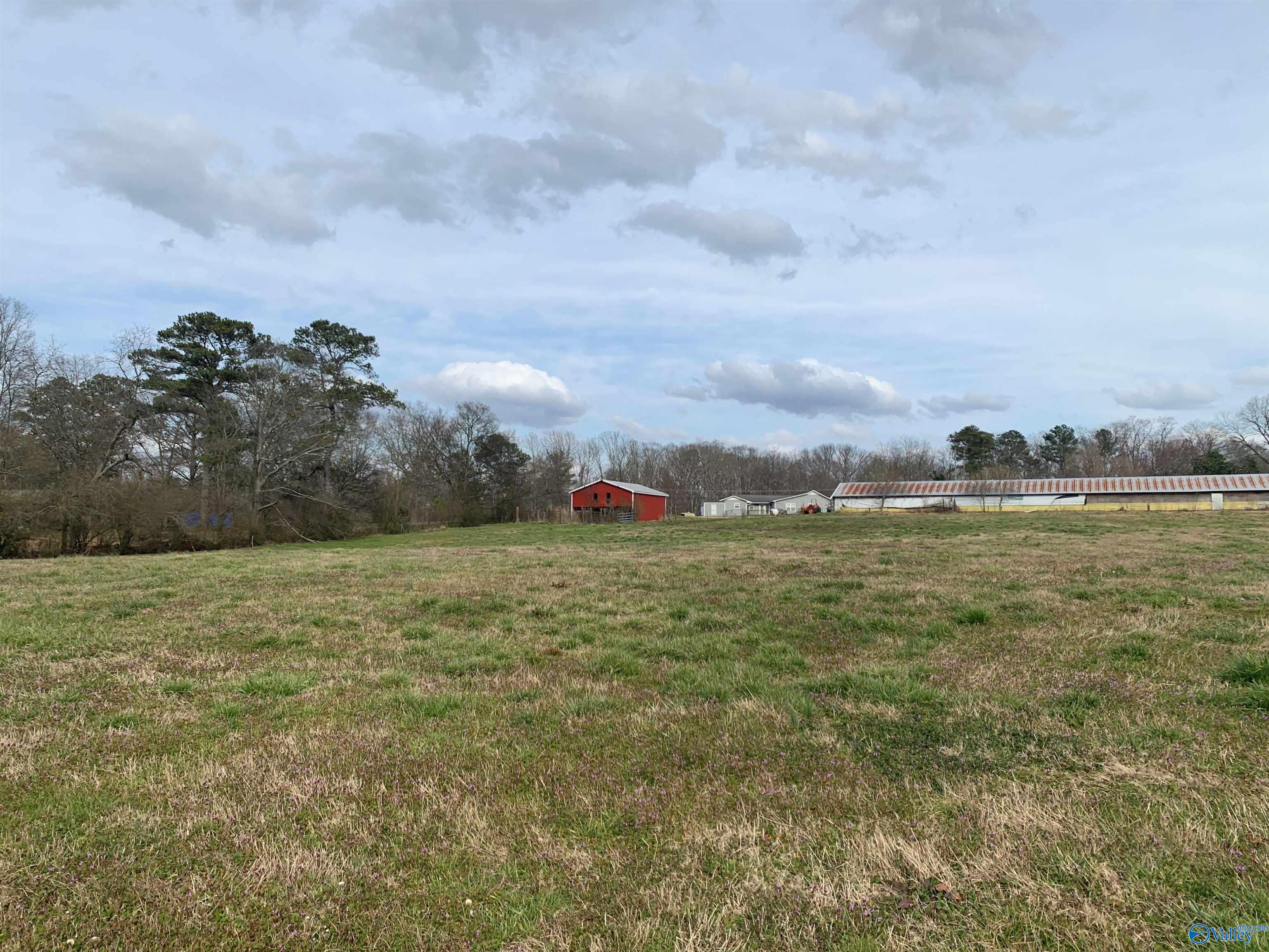 4718 Oneonta Cut-off Road, Albertville, Alabama image 3