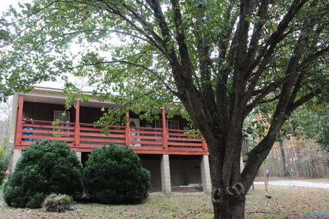 Homes For Sale - 1055 Mardis Point Road<br/> Baileyton, AL 35019