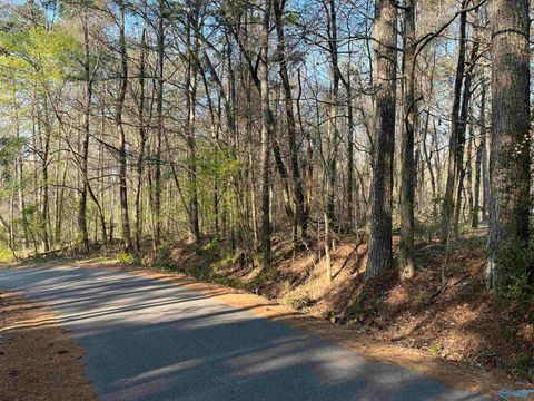 Vacant Land For Sale - LOT 1 & PT OF 2 Halsey Street<br/> Etowah County, Gadsden, AL 35901