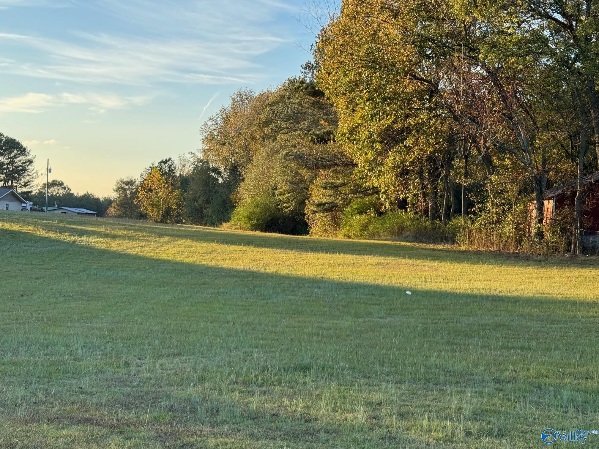 4 Acres Whitesville Road, Albertville, Alabama image 1