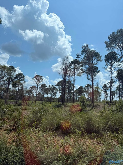 Vacant Land For Sale - LOT 34 County Road 158<br/> Centre, AL 35960