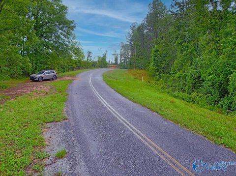 Vacant Land For Sale - 13.5 ACRES County Road 338<br/> Coffee County, Elba, AL 36323