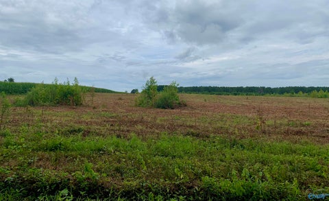 Vacant Land For Sale - 7 County Road 508<br/> Fort Payne, AL 35968