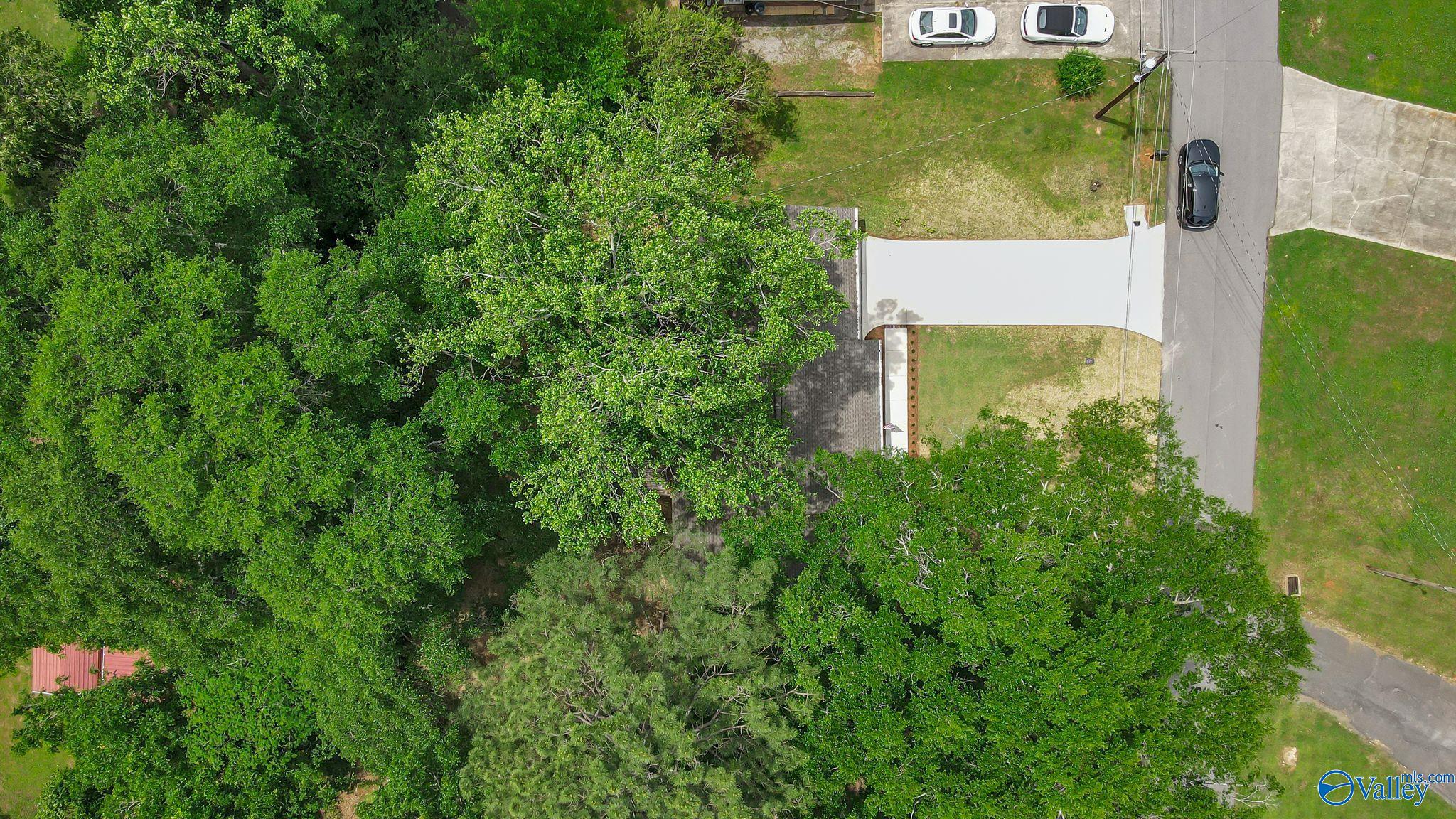 2409 Lu James Drive, Guntersville, Alabama image 30