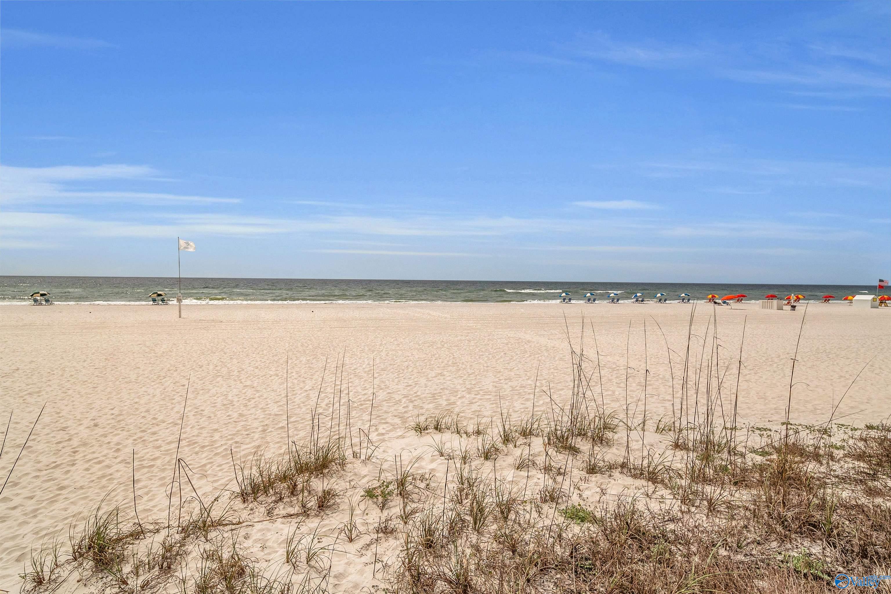 24800 Perdido Beach Blvd #301, Orange Beach, Alabama image 46