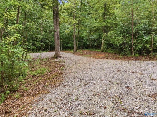773 MCCUTCHEON RD, LACEYS SPRING, AL 35754 - Image 8738009b63afa3aa9f326e0911e8b5ac/425772442