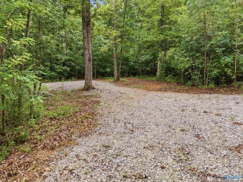 Vacant Land For Sale - 773 Mccutcheon Loop Road<br/> Laceys Spring, AL 35754