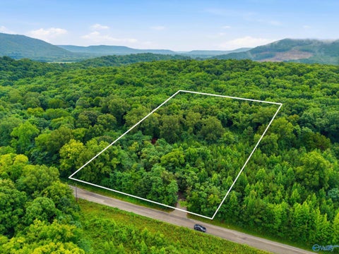 Vacant Land For Sale - 773 Mccutcheon Loop Road<br/> Laceys Spring, AL 35754