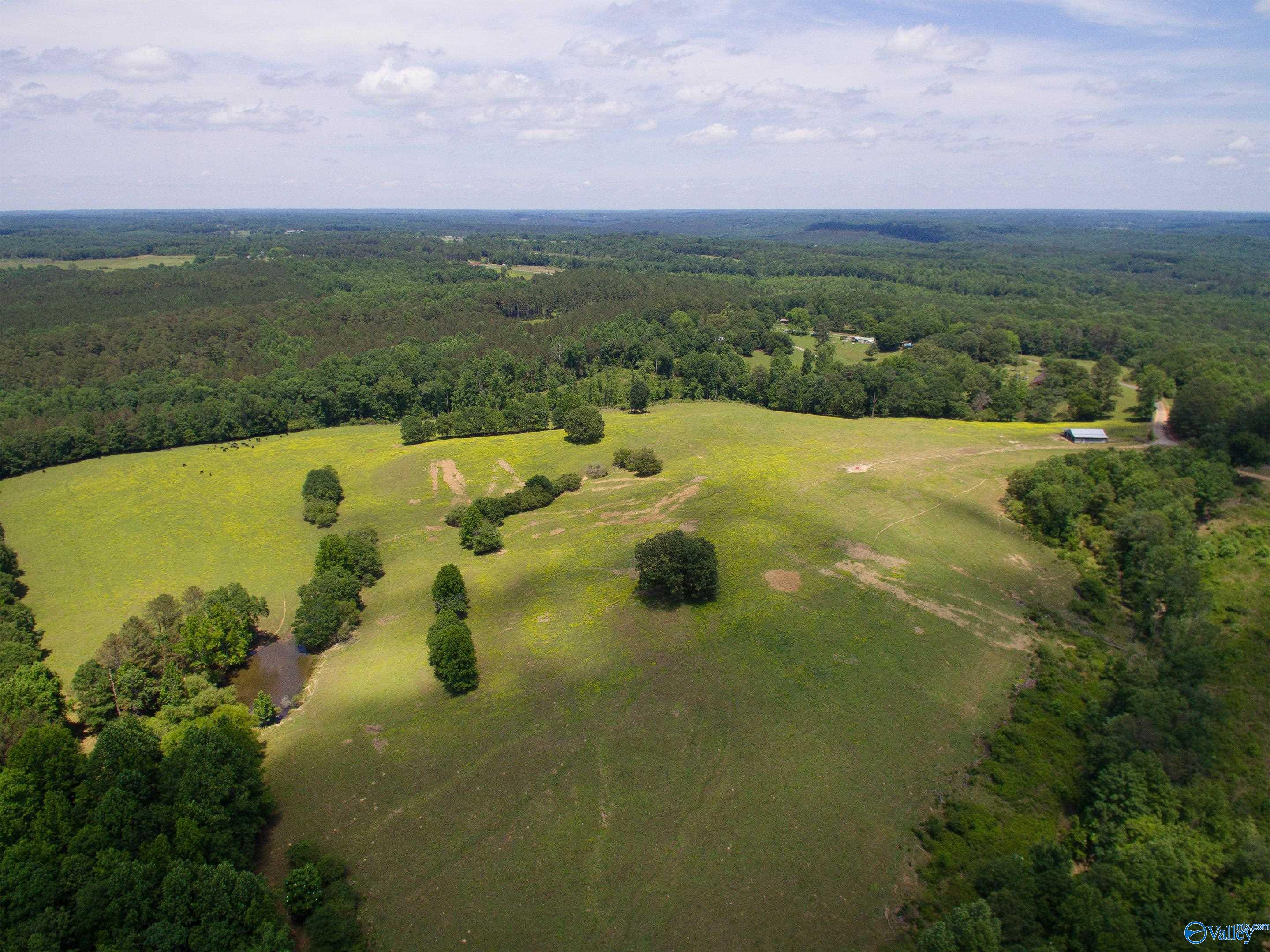 120.5 Acres County Road 974, Logan, Alabama image 5