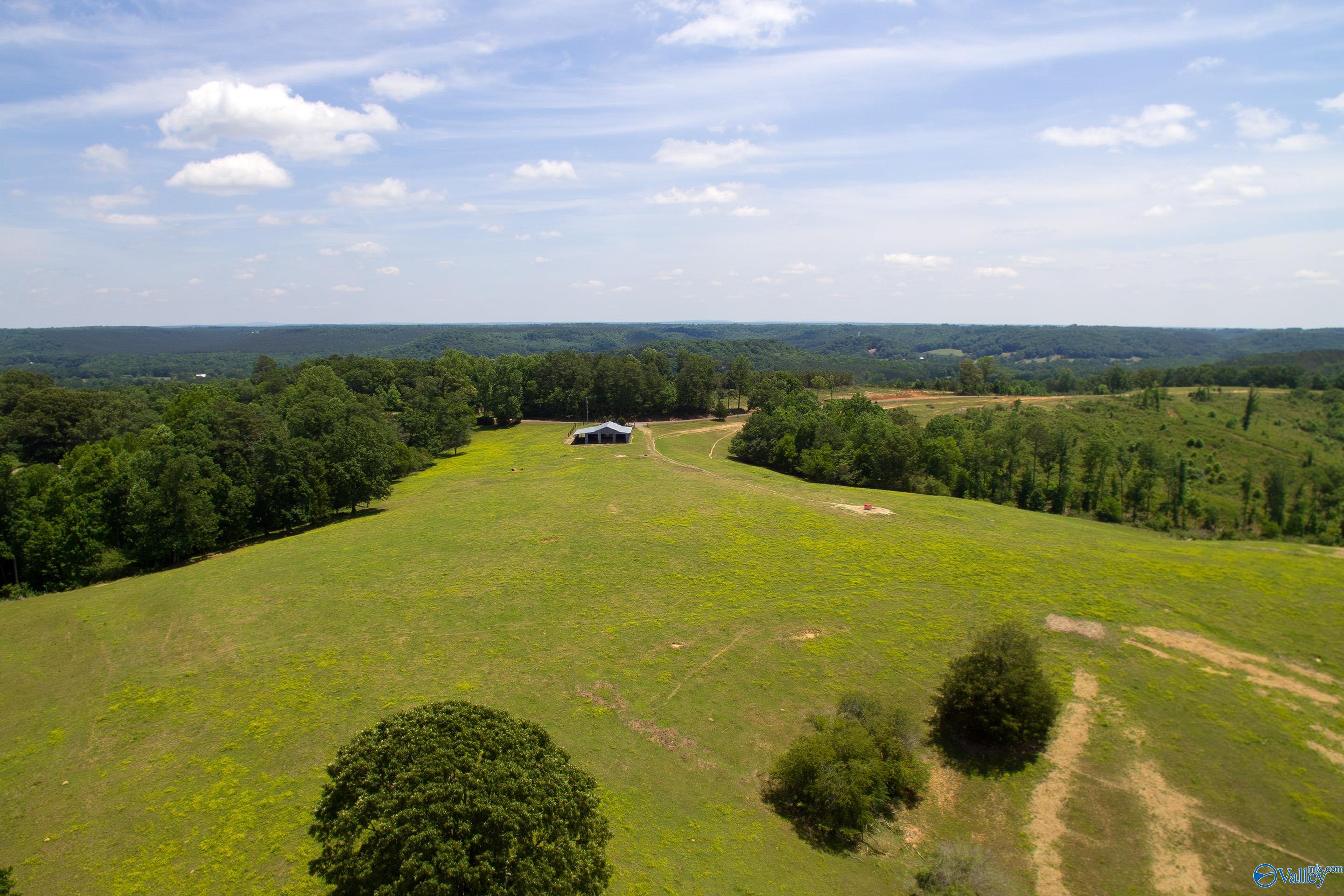 120.5 Acres County Road 974, Logan, Alabama image 6