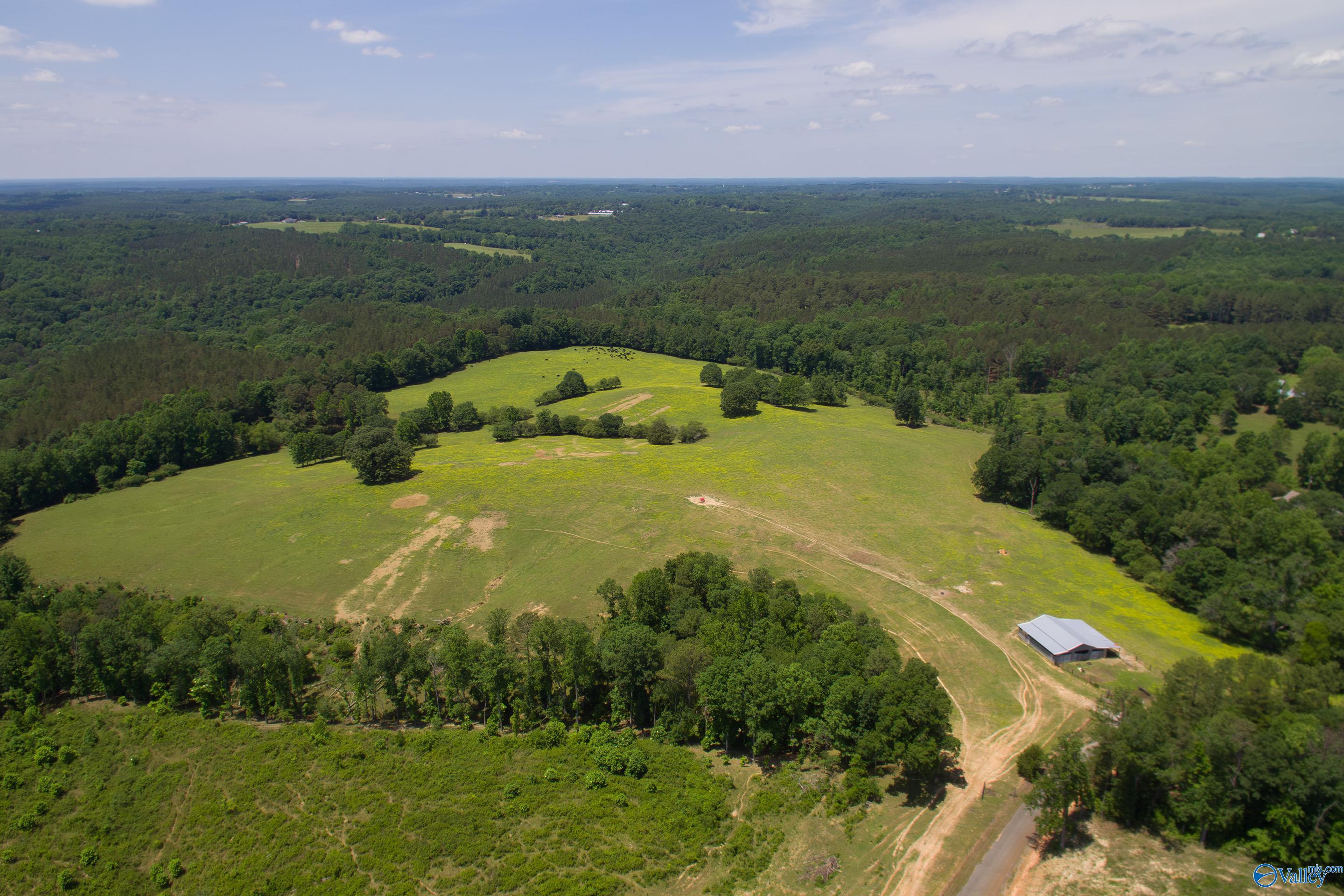 120.5 Acres County Road 974, Logan, Alabama image 8