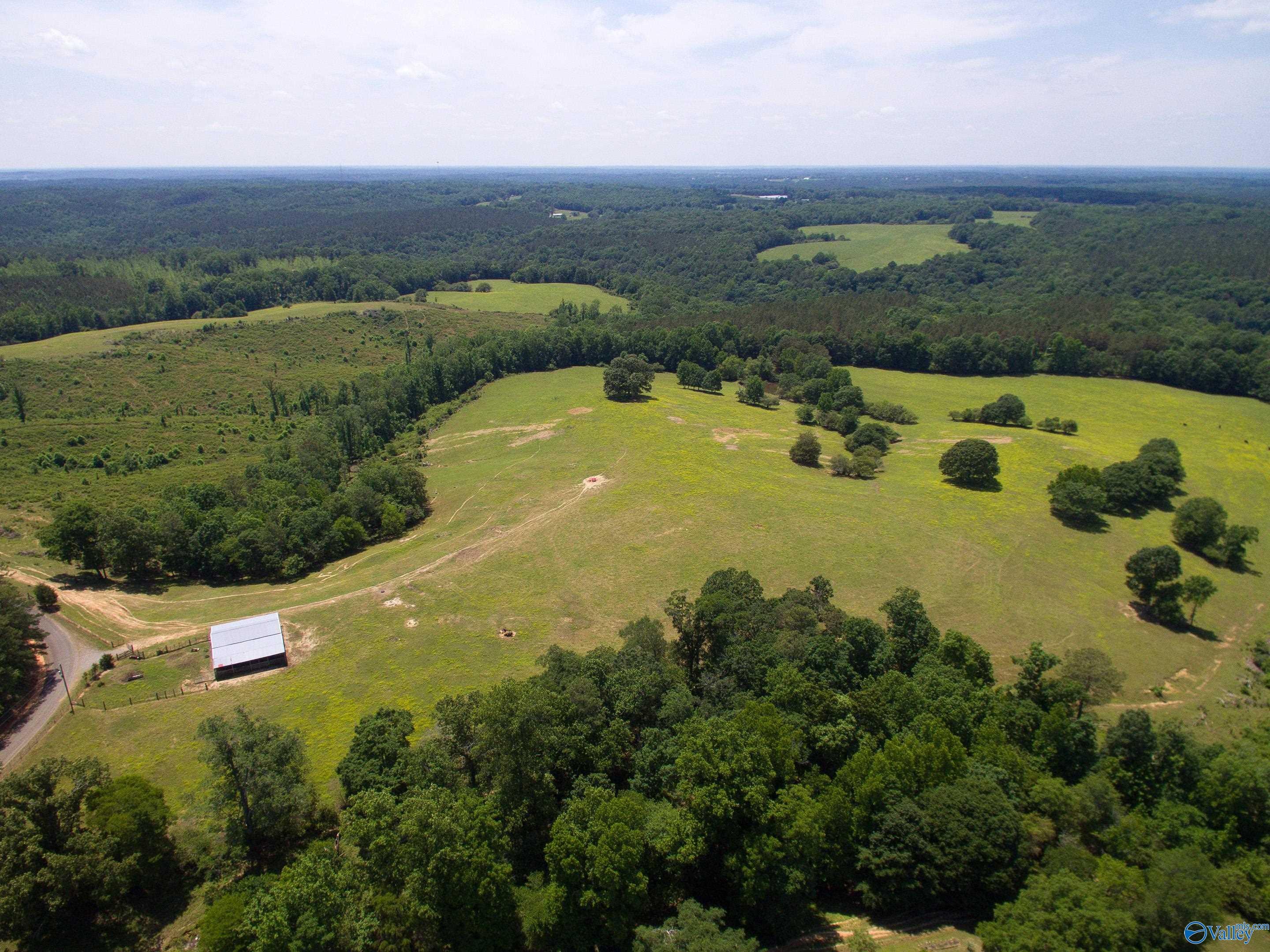 120.5 Acres County Road 974, Logan, Alabama image 3