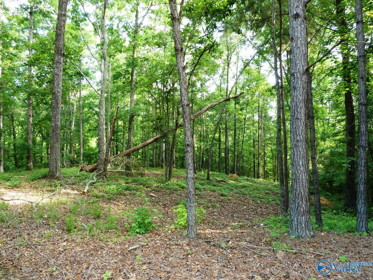 Lot 77 Broken Arrow