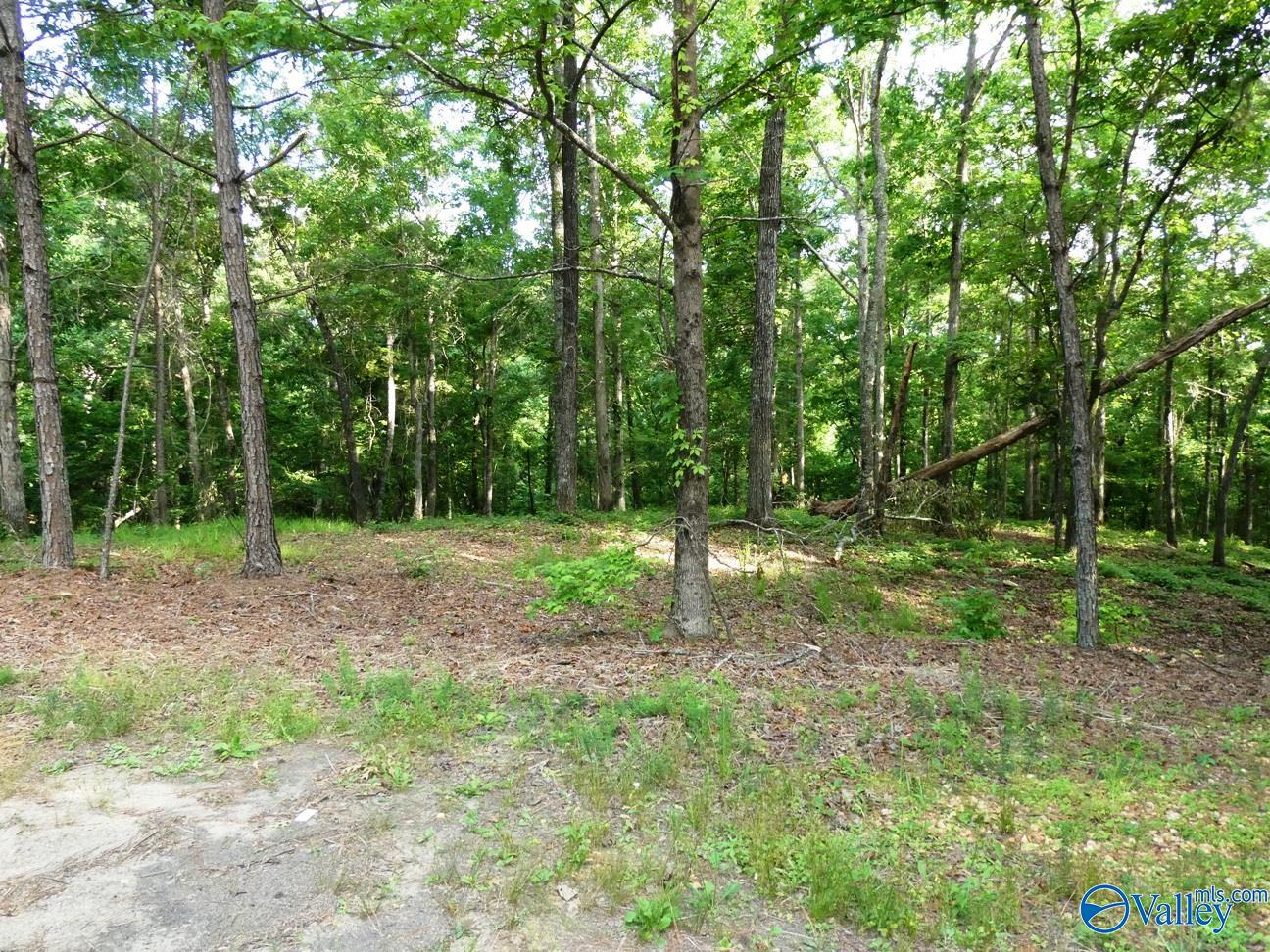 Lot 77 Broken Arrow