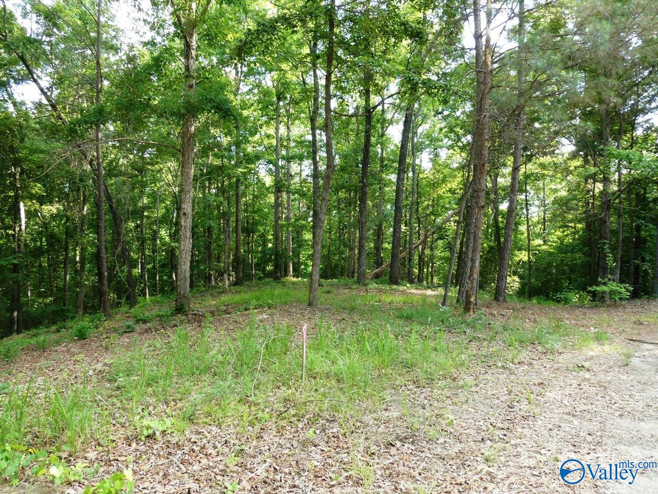 Lot 77 Broken Arrow