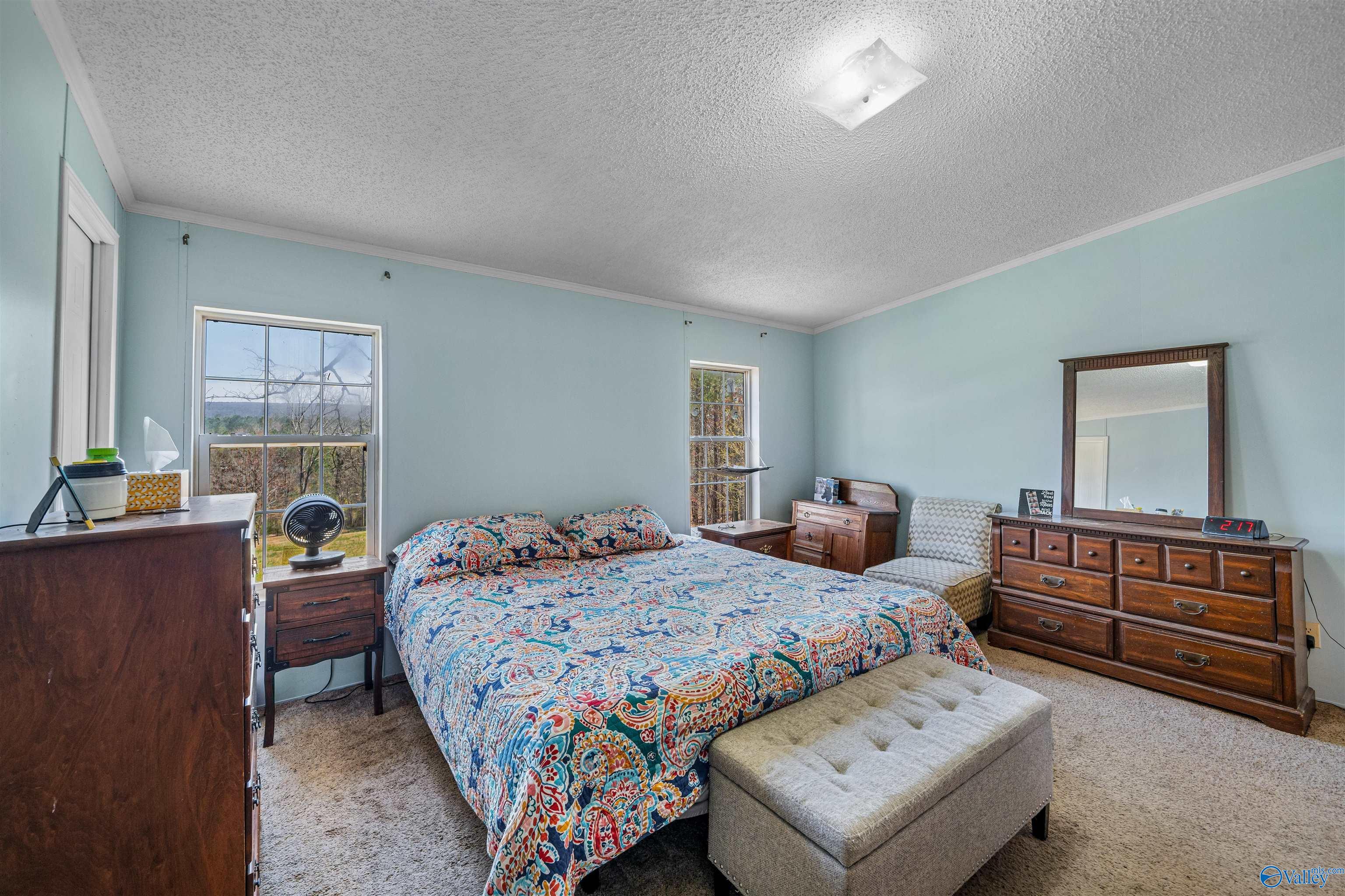 10758 Tabor Road, Collinsville, Alabama image 46