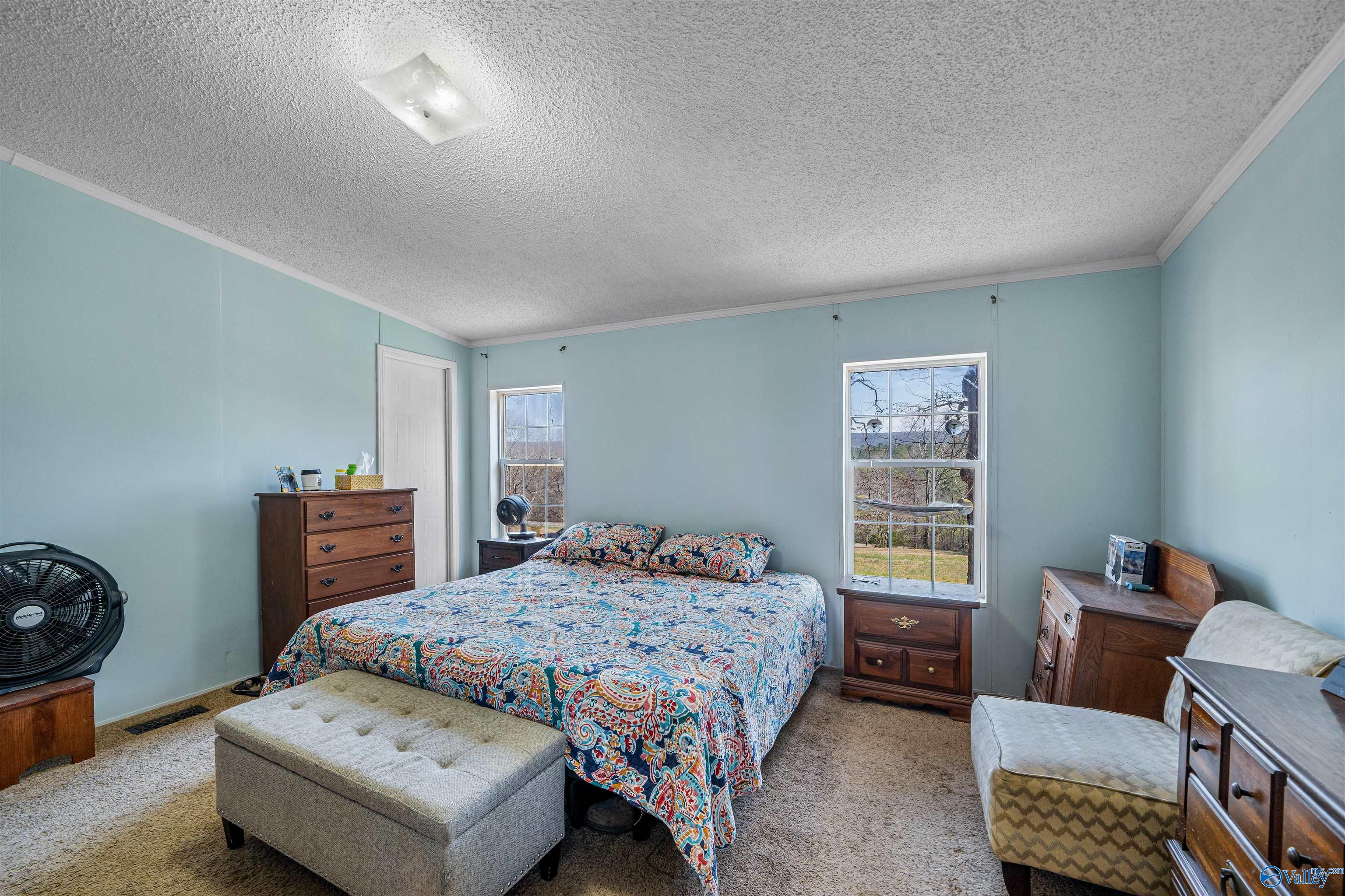 10758 Tabor Road, Collinsville, Alabama image 47