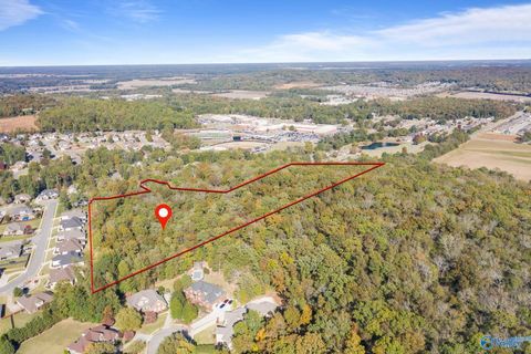Vacant Land For Sale - 11.33 ACRES Jeff View Court<br/> Harvest, AL 35749