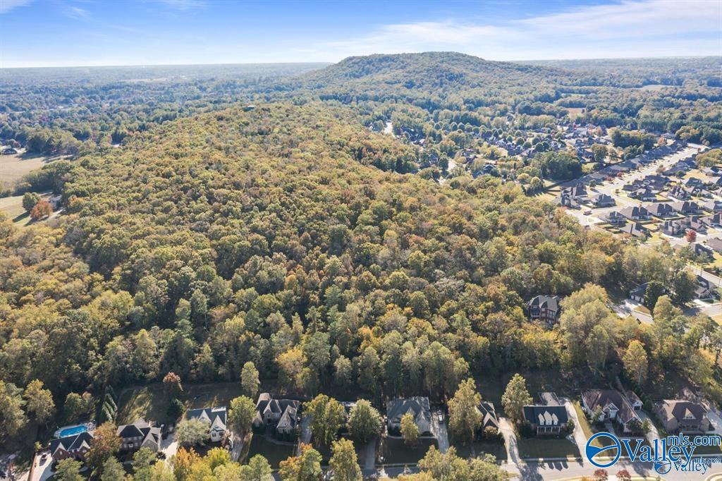11.33 Acres Jeff View Court, Harvest, Alabama image 2