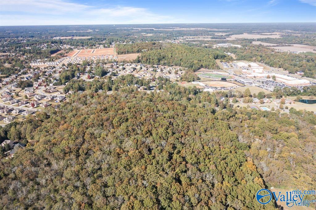 11.33 Acres Jeff View Court, Harvest, Alabama image 7