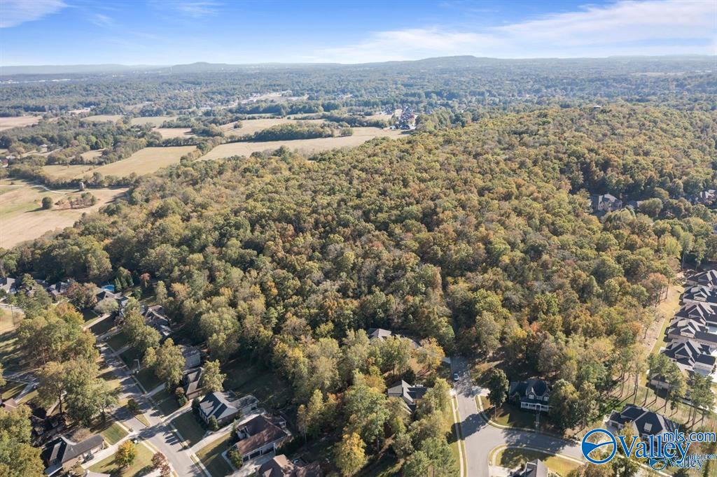 11.33 Acres Jeff View Court, Harvest, Alabama image 5