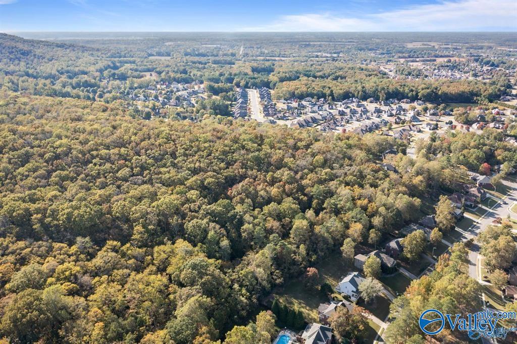 11.33 Acres Jeff View Court, Harvest, Alabama image 3