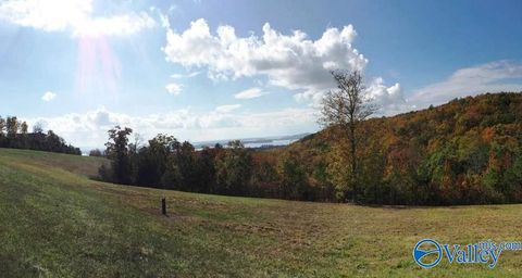 Homes For Sale - LOT 50 County Road 767<br/> Cherokee County, Cedar Bluff, AL 35959