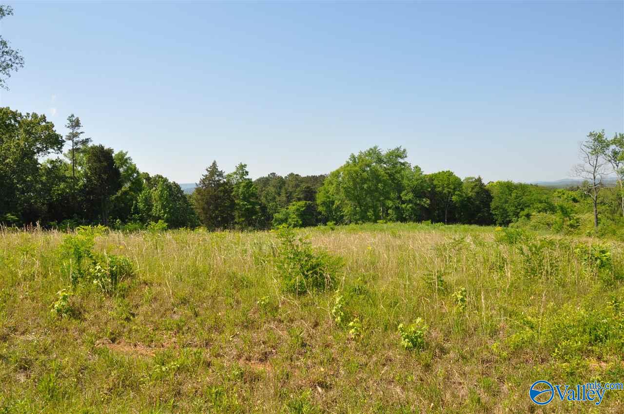 Lot 39 Ryan Road, Hollywood, Alabama image 9