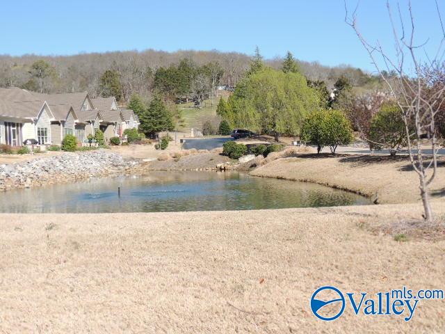 2 Laurel Lane #103, Brownsboro, Alabama image 41