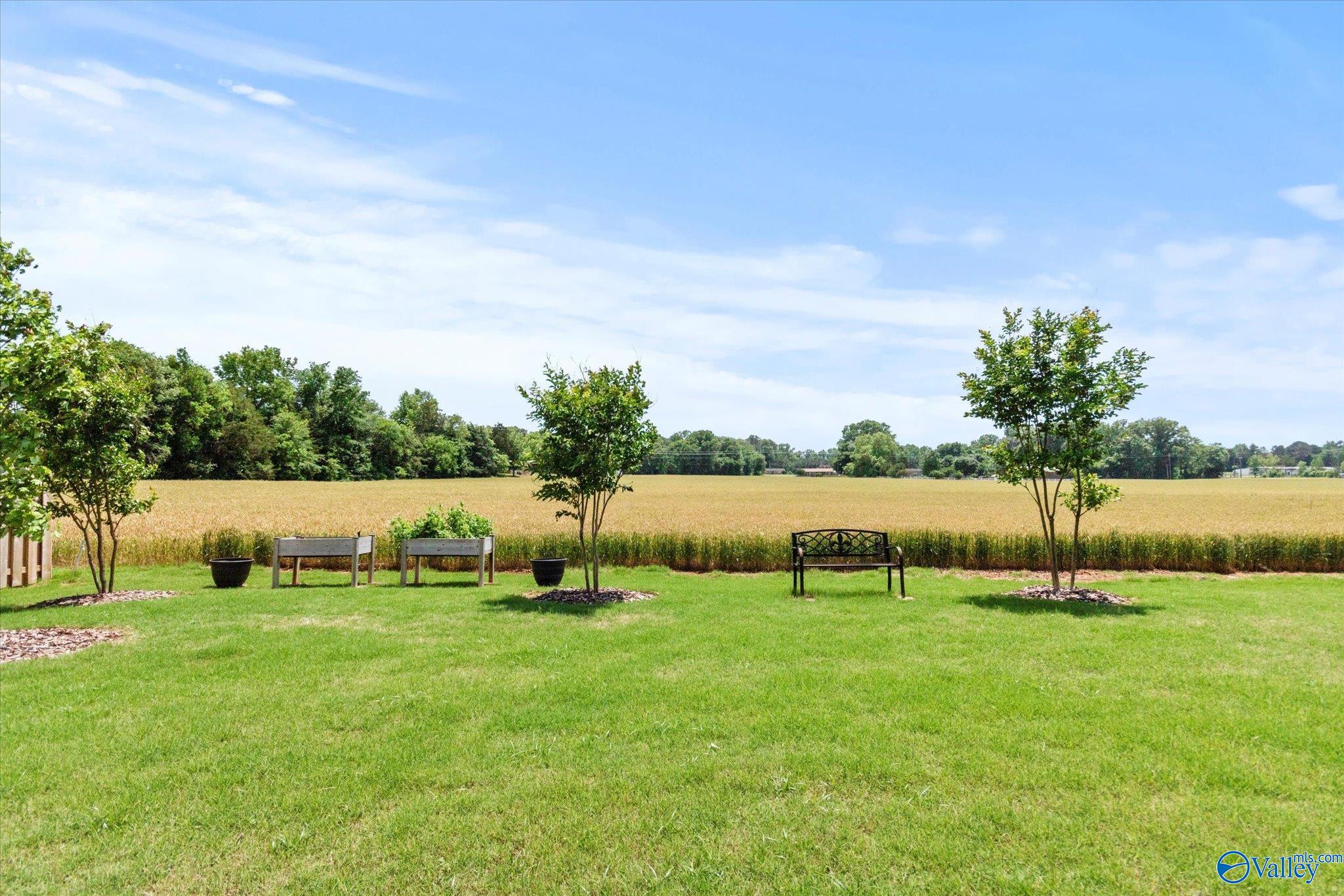 156 Murphy Lane, Madison, Alabama image 23