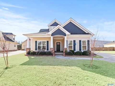 Homes For Sale - 15 Alex Spring Place<br/> Gurley, AL 35748