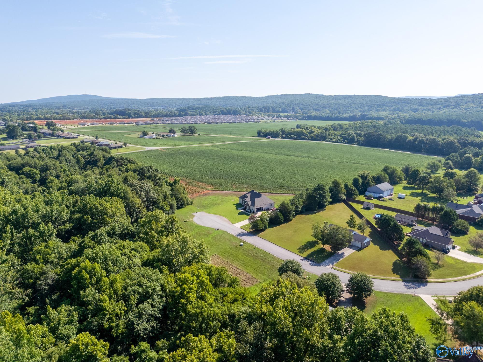 124 Jodie Drive, Huntsville, Alabama image 9