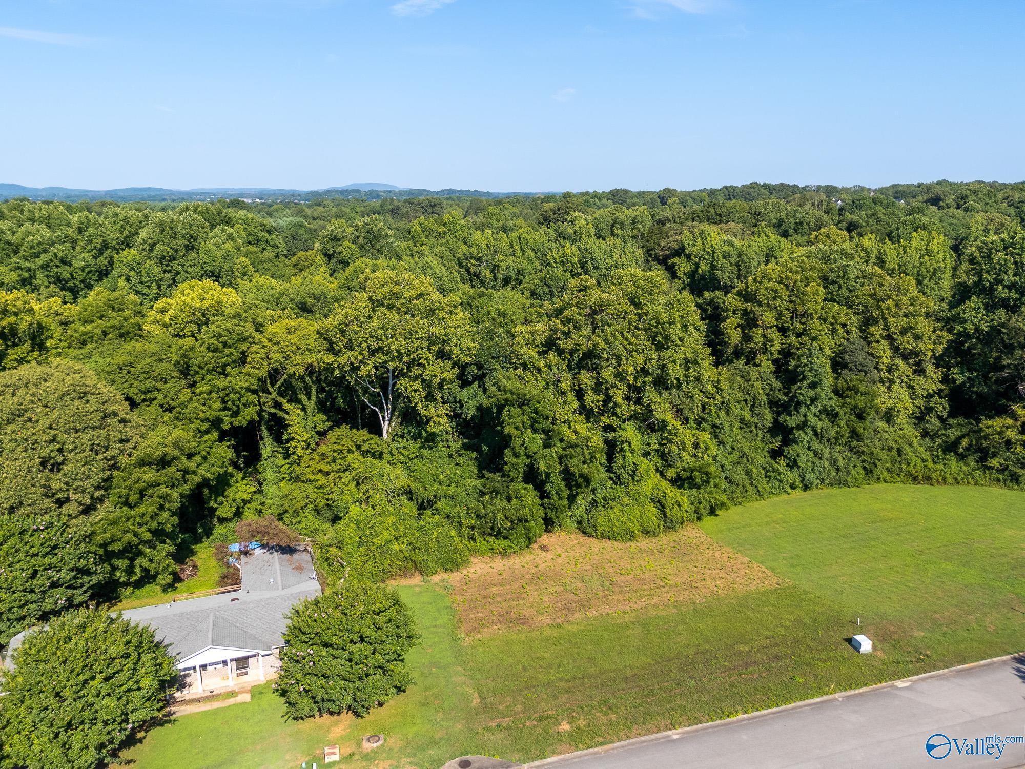 124 Jodie Drive, Huntsville, Alabama image 4