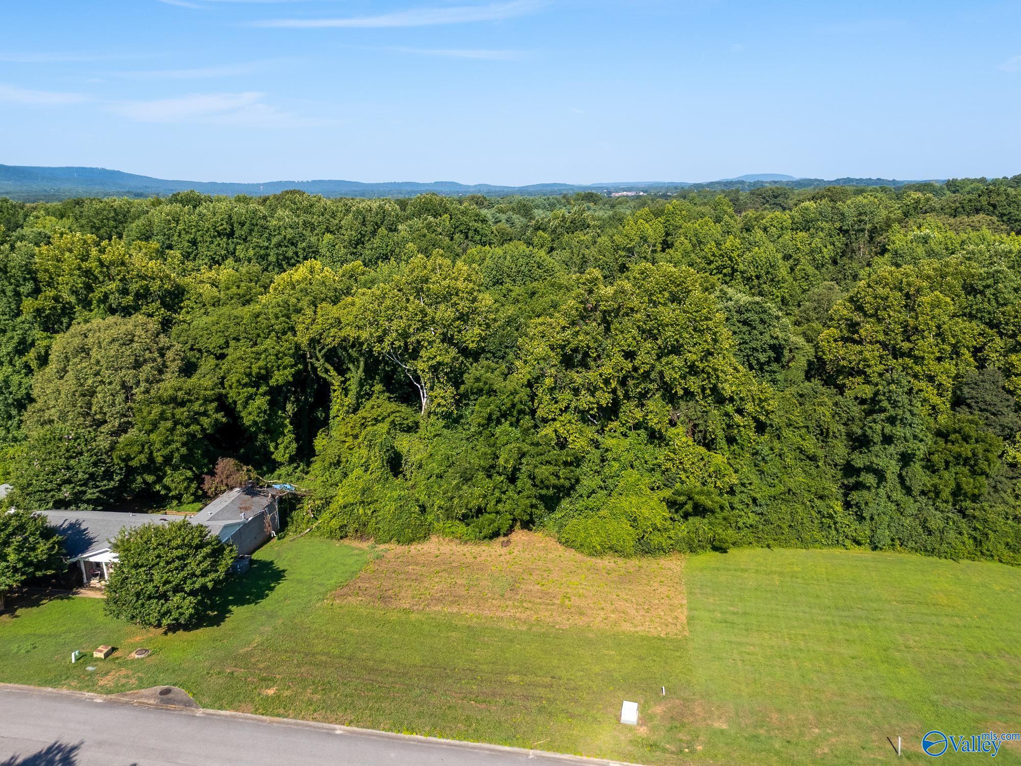 124 Jodie Drive, Huntsville, Alabama image 3