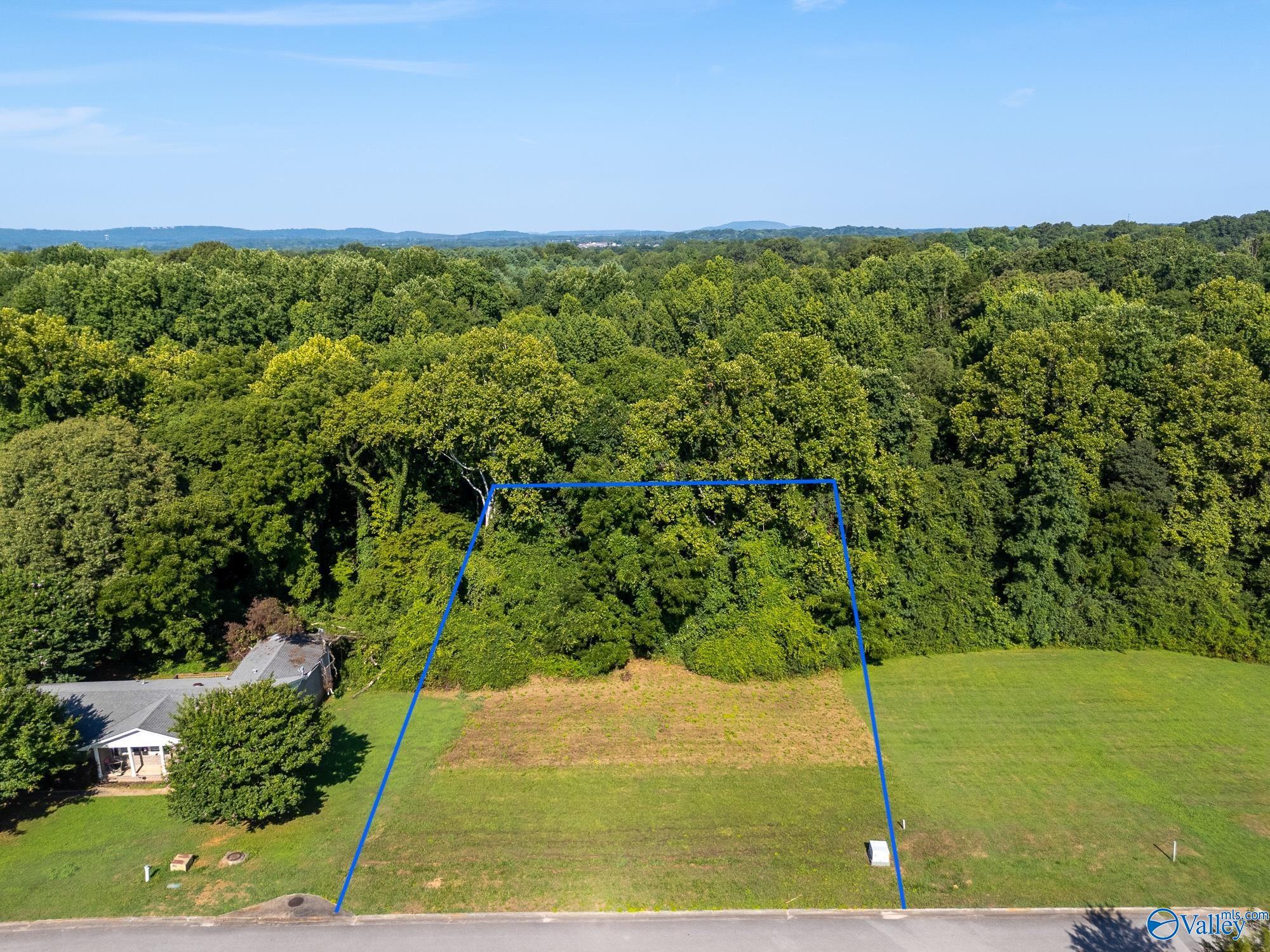 124 Jodie Drive, Huntsville, Alabama image 1