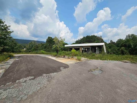 Vacant Land For Sale - 01 County Road 140<br/> Valley, AL 35989