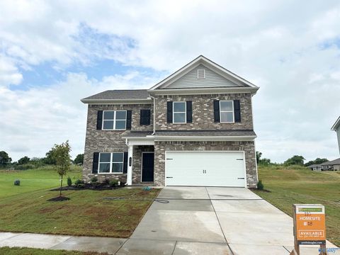 Homes For Sale - 110 Starview Court<br/> Harvest, AL 35749