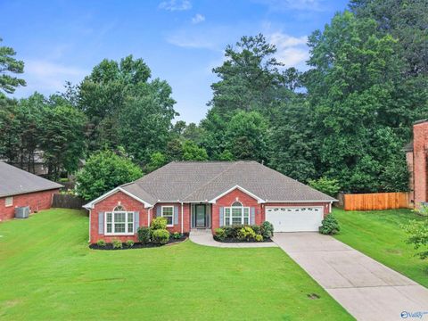 Homes For Sale - 1693 Longleaf Drive<br/> Huntsville, AL 35806
