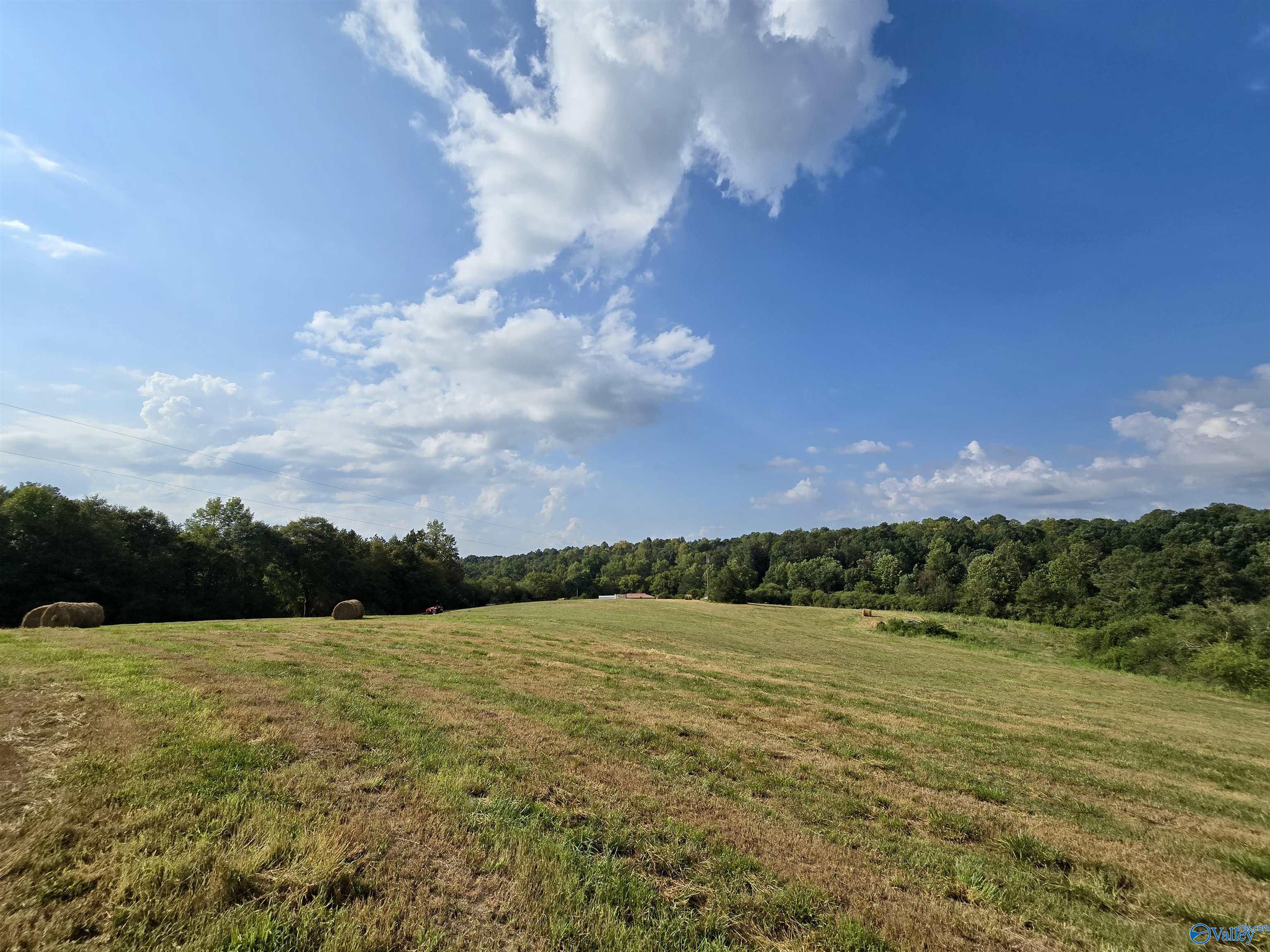 26.07 ACRES County Road 1740, Holly Pond, Alabama image 12