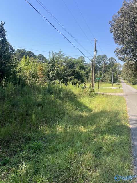 Vacant Land For Sale - 297 Benson Road<br/> Somerville, AL 35670