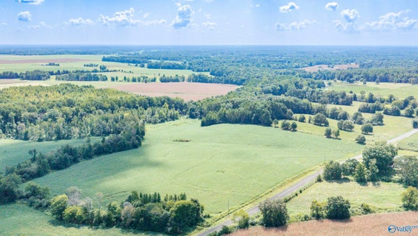 65 COUNTY RD 134, LEXINGTON, AL 35648 - Image 88a147ca4db4b6415950d2a8497b73d1/1091248167