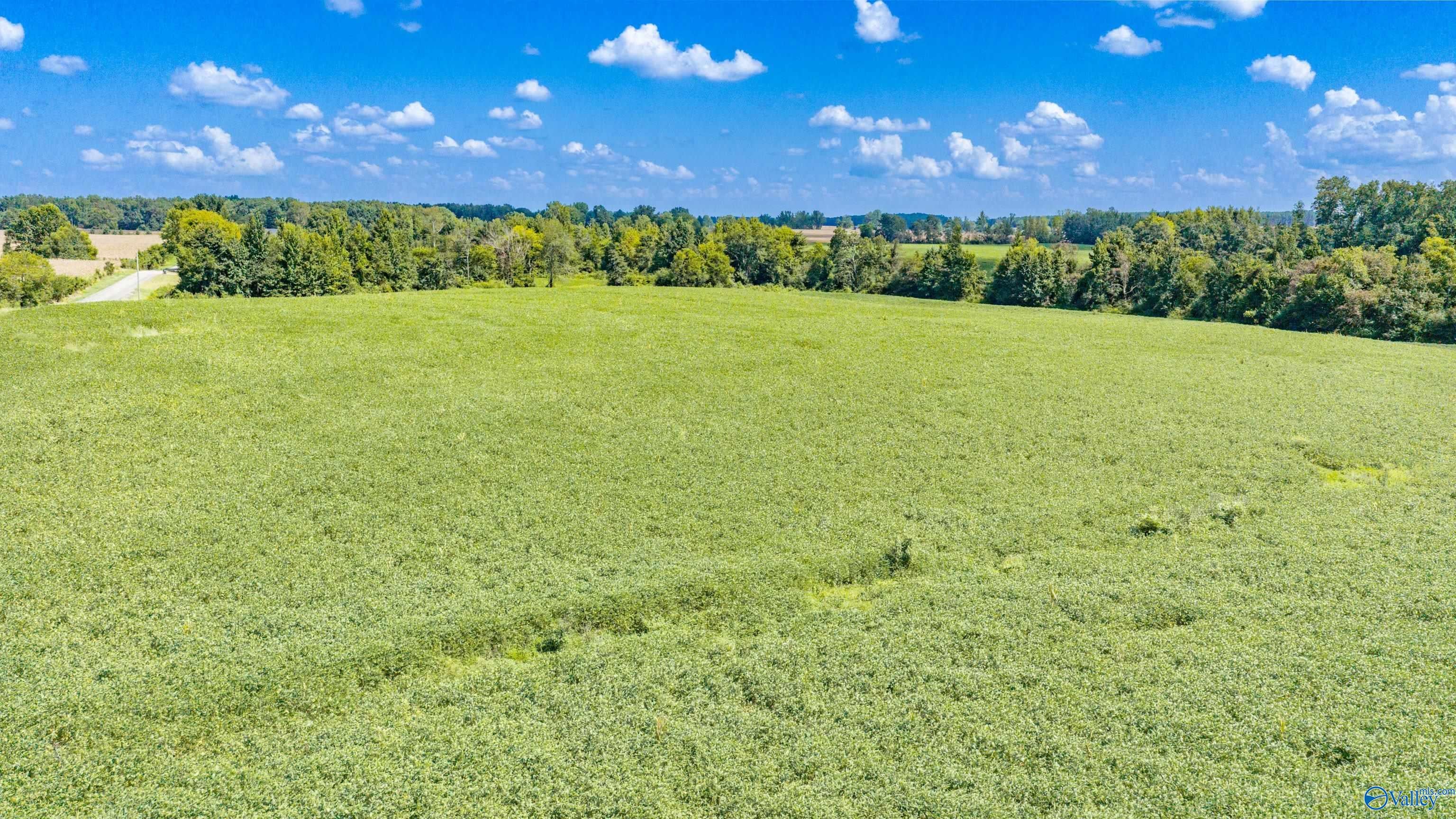 20 Acres County Road 134