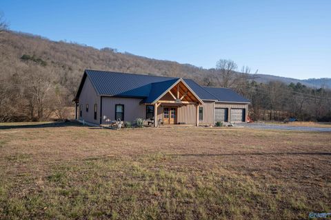 Photo of 11438 County Road 91, Bryant, AL 35958 (MLS # 21909537)