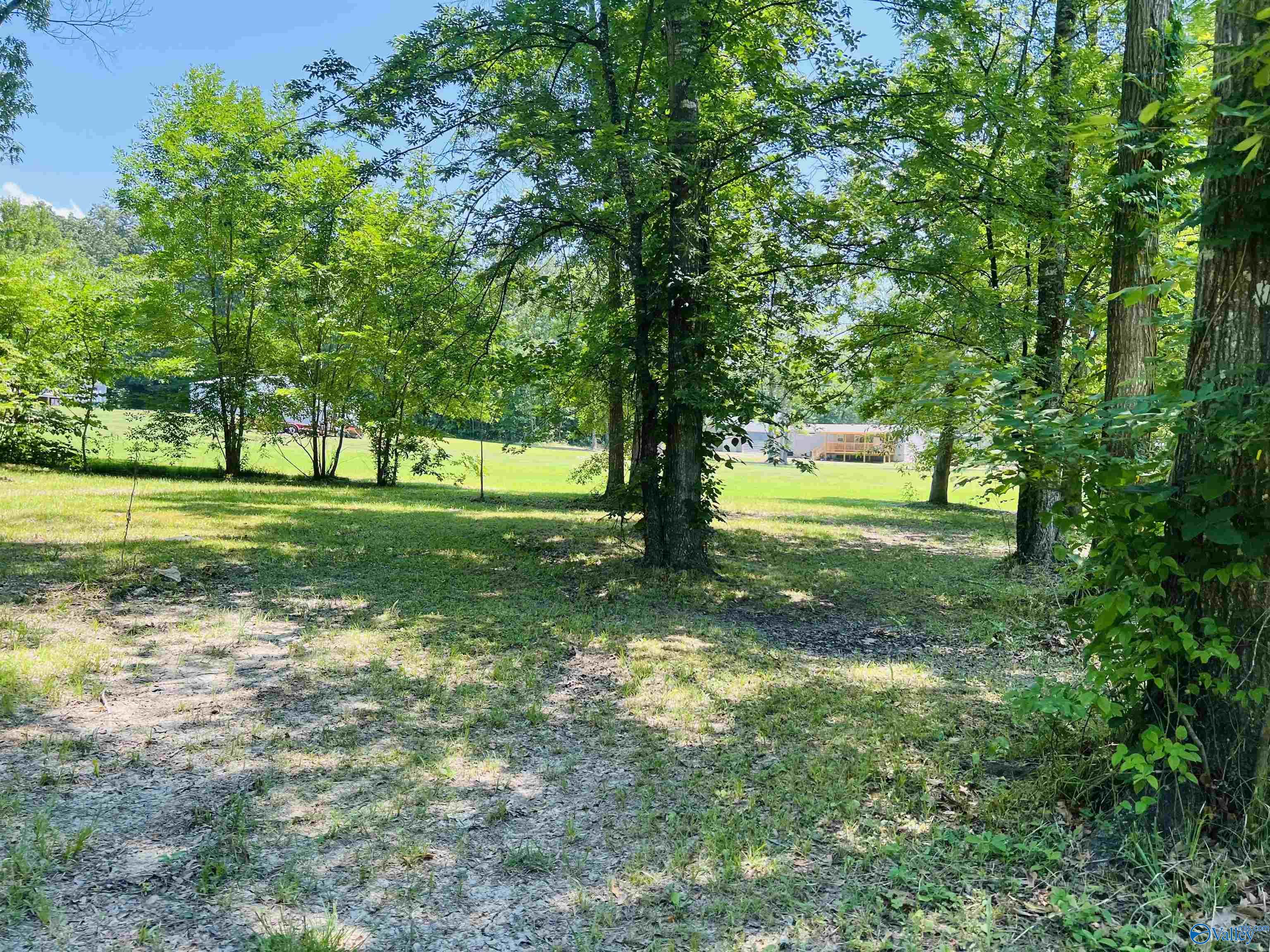 4030 Oak Drive, Cedar Bluff, Alabama image 25