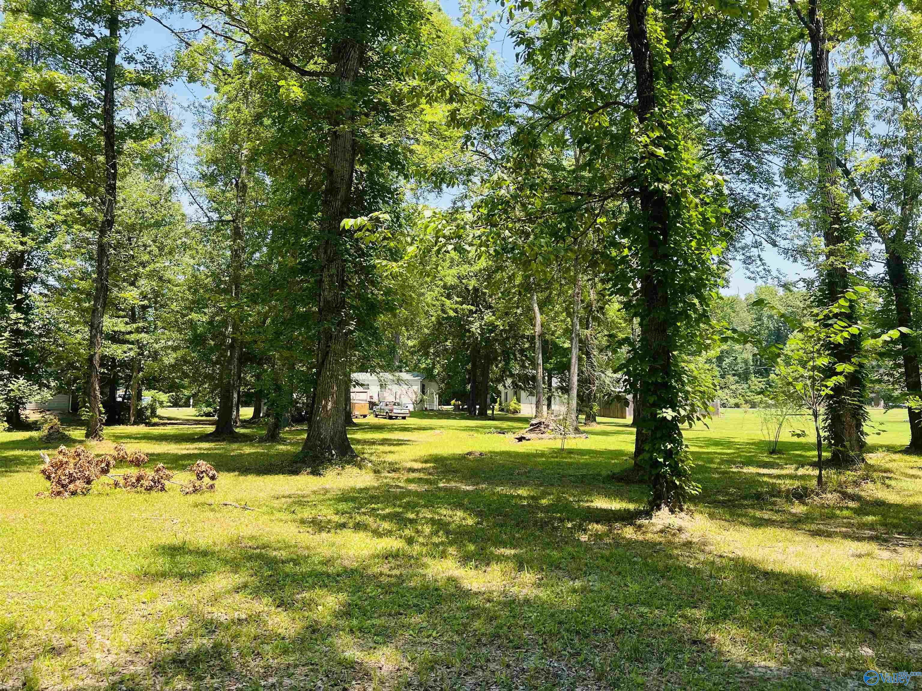 4030 Oak Drive, Cedar Bluff, Alabama image 24