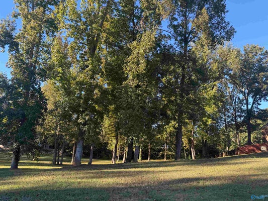 .44 KENNEDY CIRCLE, SCOTTSBORO, AL 35768 - Image 88baa8f8961e82adee0dcfc72bbc318d/2573794254