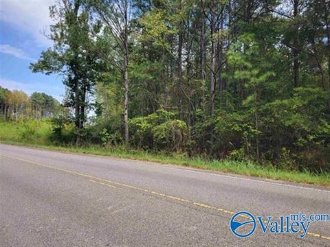 Vacant Land For Sale - 2500 County Road 63<br/> Houston, AL 35572