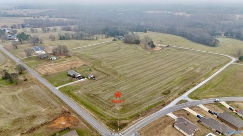 Vacant Land For Sale - 1 East Limestone Road<br/> Toney, AL 35773