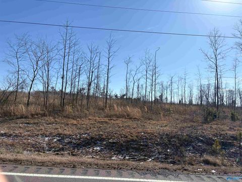 Vacant Land For Sale - 5AC Alabama Highway 40<br/> Henagar, AL 35798